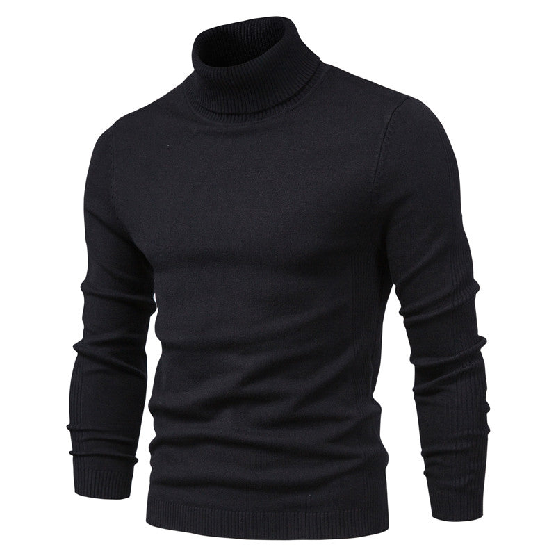 James - Stilvoller Rollkragenpullover